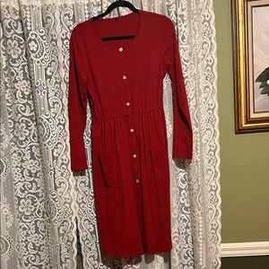 Amazing Long Sleeve Dress